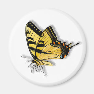 Yellow Butterfly Magnet