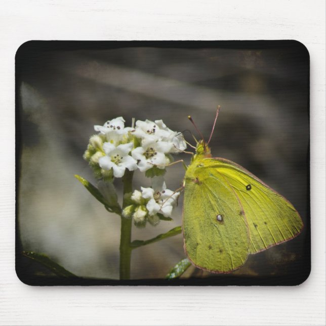 Yellow Butterfly Mouse Pad (Front)