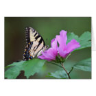 Yellow Butterfly on Pink Posies
