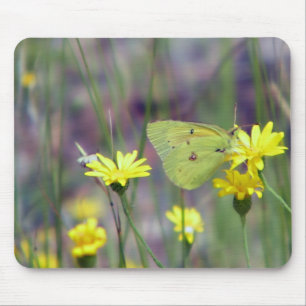 Yellow butterfly on yellow flower mouse pad