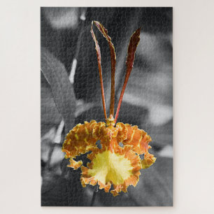 Yellow Butterfly Orchid Flower Jigsaw Puzzle
