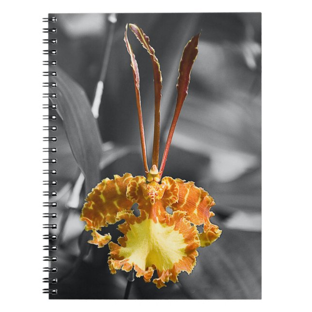 Yellow Butterfly Orchid Flower Notebook (Front)