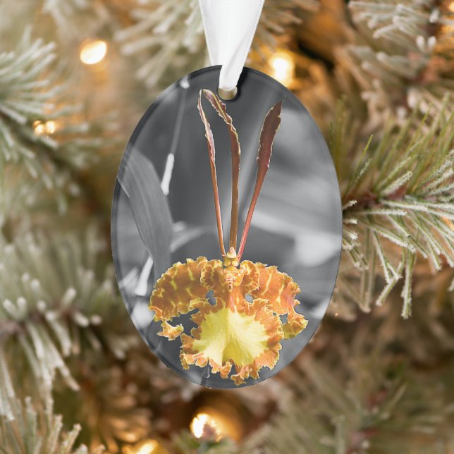 Yellow Butterfly Orchid Flower Ornament (Tree)