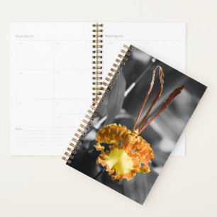 Yellow Butterfly Orchid Flower Planner