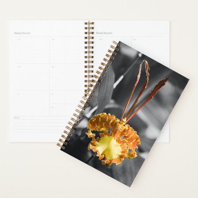 Yellow Butterfly Orchid Flower Planner (Display)