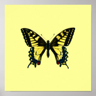 Yellow Butterfly Poster