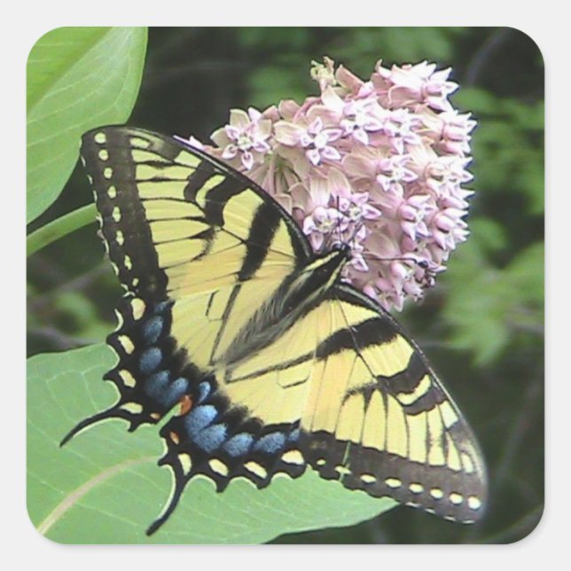 Yellow Butterfly Sticker (Front)