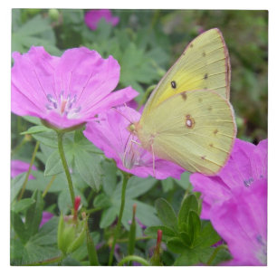 Yellow Butterfly Tile