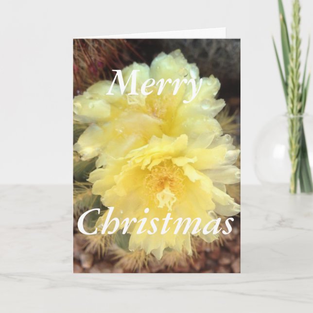 Yellow Cactus Bloom Christmas Card (Front)