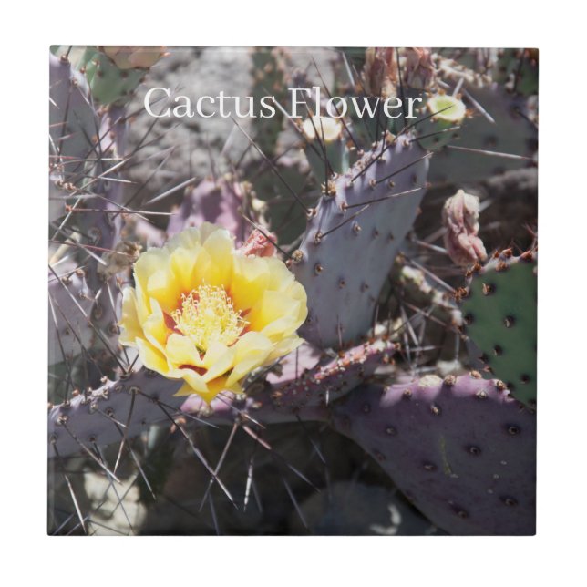 Yellow cactus flower ceramic tile (Front)