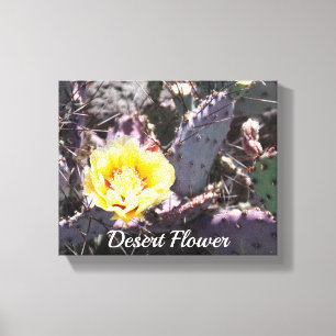 Yellow cactus flower in spring canvas print