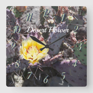 Yellow cactus flower in spring square wall clock