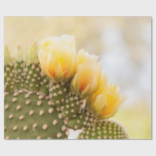 Yellow cactus flowers as they bloom in Arizona Wrapping Paper