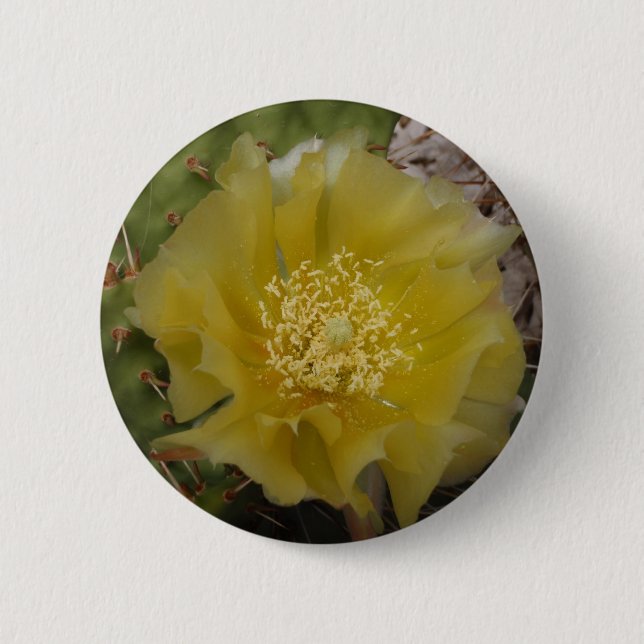 Yellow Cactus In Bloom 6 Cm Round Badge (Front)