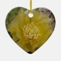 Yellow Cactus In Bloom