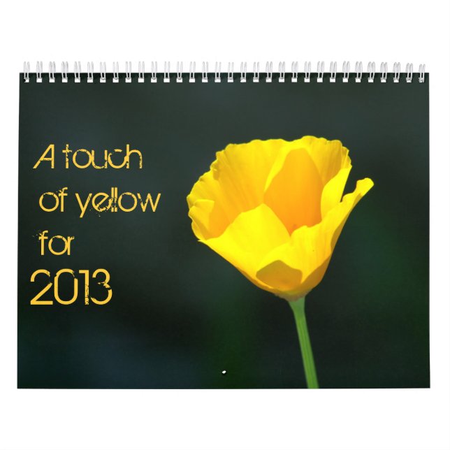 yellow calendar for 2013 (Cover)