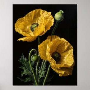 Yellow California Poppy Flowers Art Print Poster