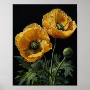 Yellow California Poppy Flowers Art Print Poster