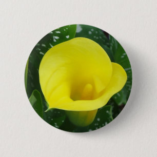 Yellow Calla Button