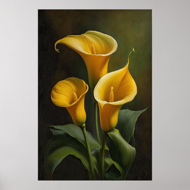 Yellow Calla Lilies Lily Flower Art Print Poster (Front)