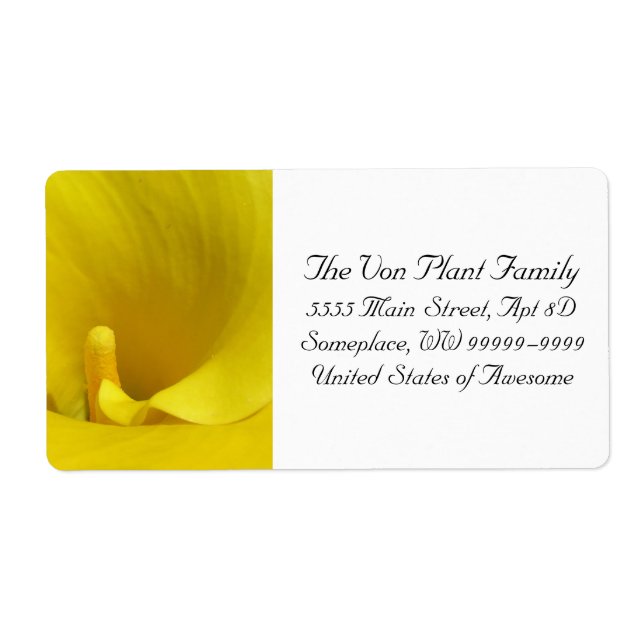 Yellow Calla Lily Flower (Front)