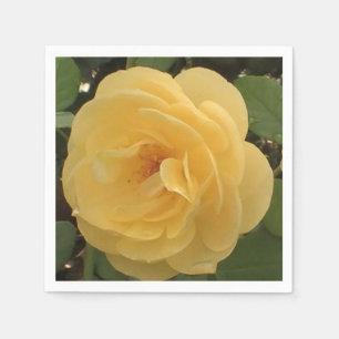 Yellow camellia napkins