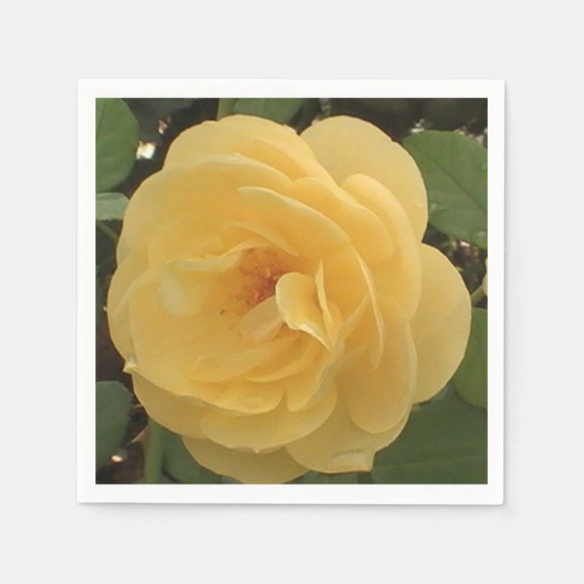 Yellow camellia napkins (Front)