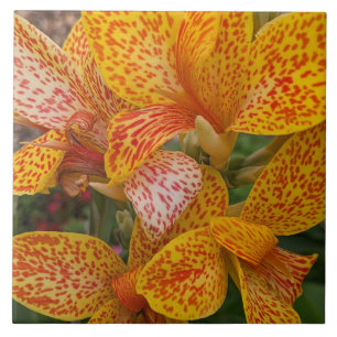 Yellow Canna Lily with Red Speckles Floral Ceramic Tile