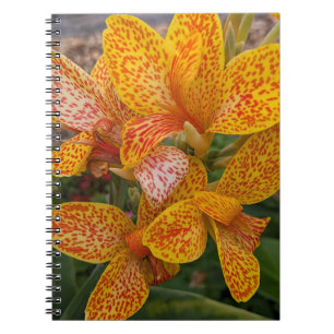 Yellow Canna Lily with Red Speckles Floral Notebook