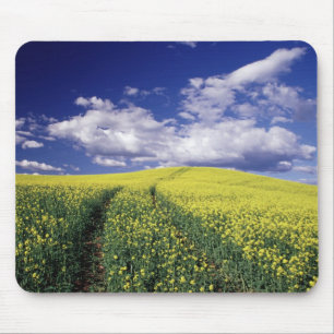 Yellow canola in Whitman County Washington state Mouse Pad
