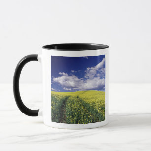 Yellow canola in Whitman County Washington state Mug