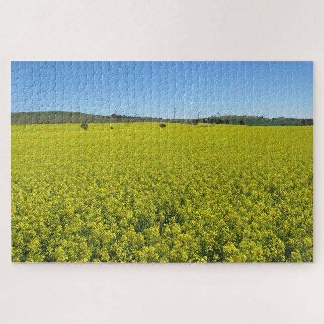 yellow canola jigsaw puzzle (Horizontal)