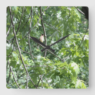 Yellow cardinal square wall clock