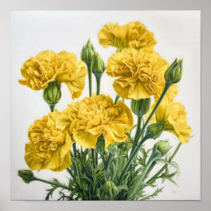 Yellow Carnations Flower Art Print Poster