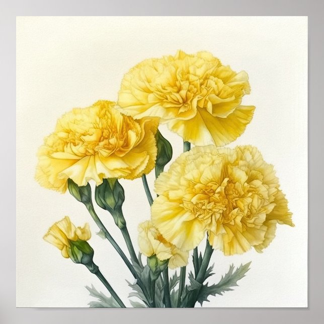 Yellow Carnations Flower Art Print Poster (Front)