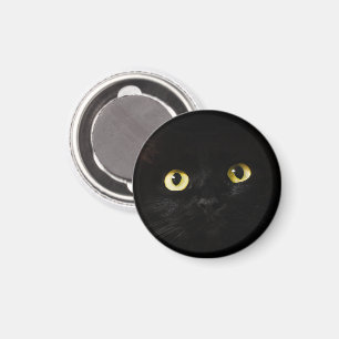 Yellow Cat Eyes, Black Cat, Black Background Magnet