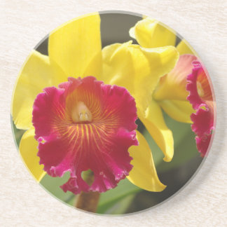 Yellow Cattleya Coaster