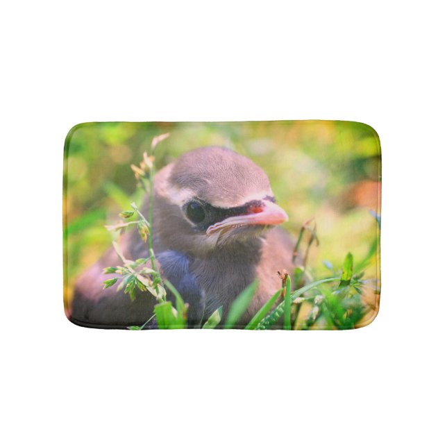 Yellow Cedar Waxwing Fledgling Bird   Bath Mat (Front)