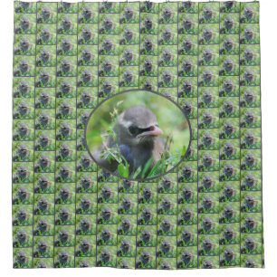 Yellow Cedar Waxwing Fledgling Bird  Shower Curtain