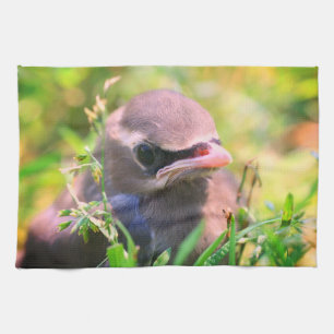 Yellow Cedar Waxwing Fledgling Bird Tea Towel