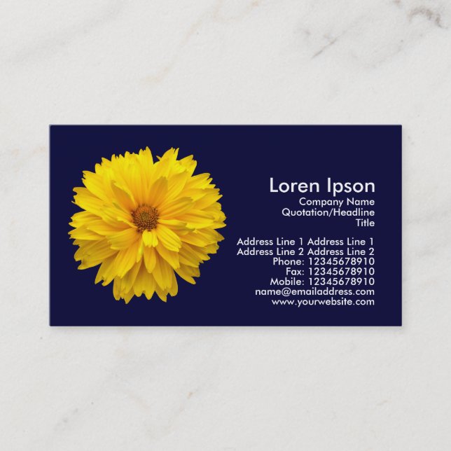 Yellow Chrysanthemum - Navy Blue Business Card (Front)