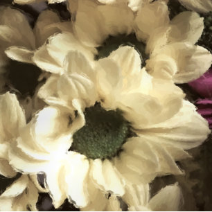 YELLOW CHRYSANTHEMUM  PHOTO PRINT