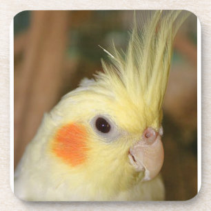 Yellow Cockatiel Coaster
