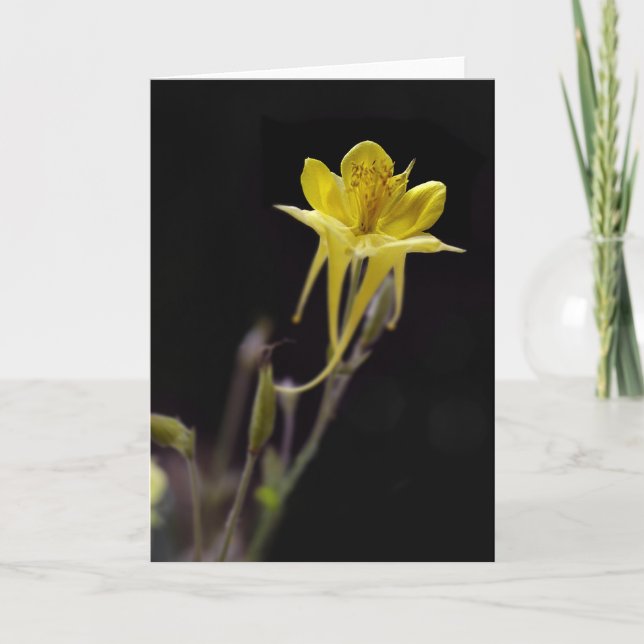 Yellow Columbine Card (Front)