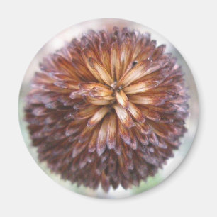 Yellow Coneflower Seedhead Magnet