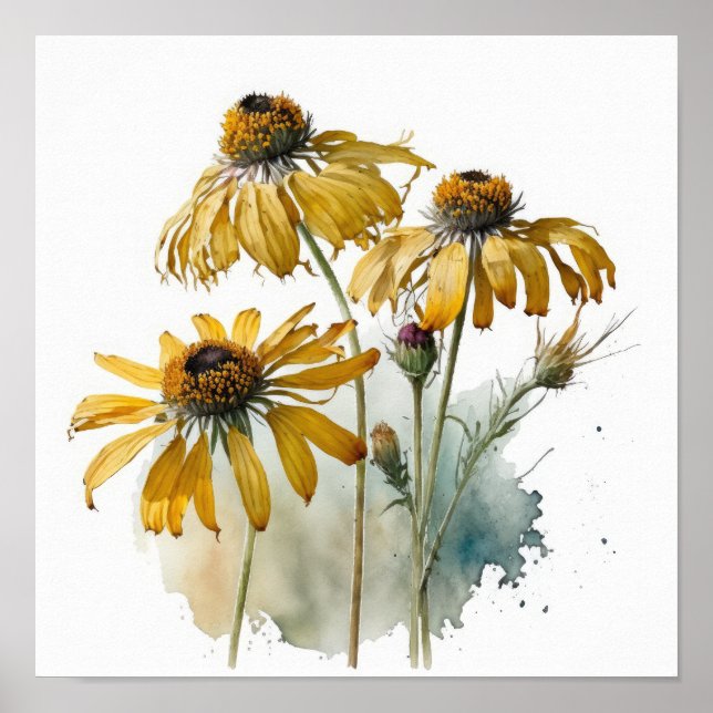 Yellow Coneflowers Art Print Poster (Front)