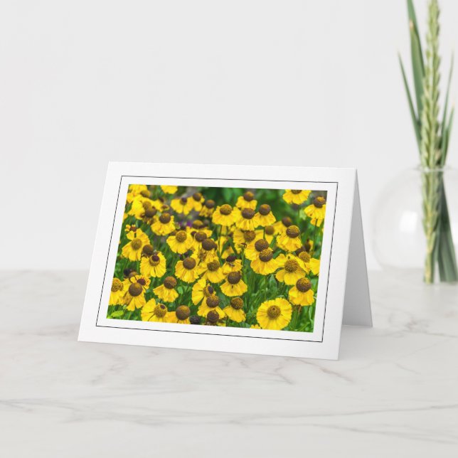 Yellow coneflowers greeting card (Front)