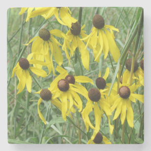 Yellow Coneflowers Stone Coaster
