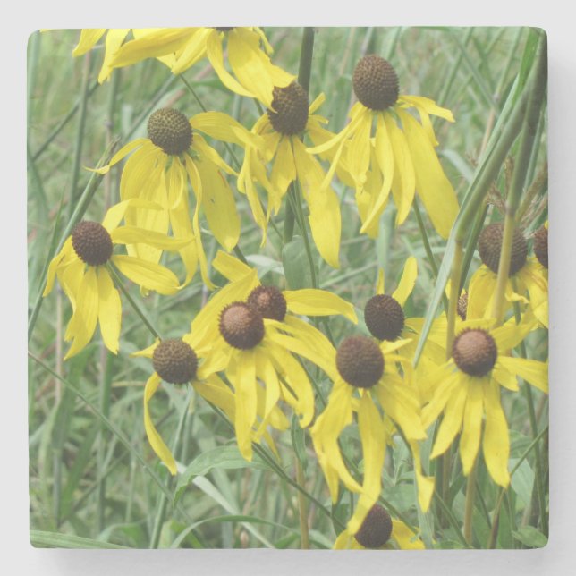 Yellow Coneflowers Stone Coaster (Front)