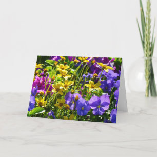 Yellow Coreopsis and Purple Violas Colourful Flora Card